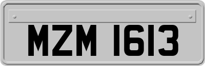 MZM1613