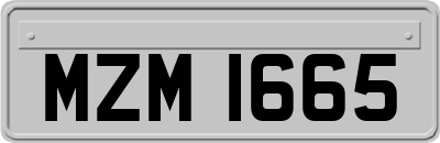 MZM1665