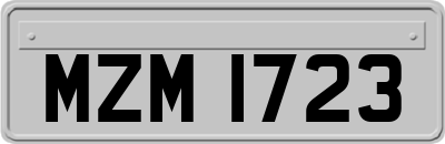 MZM1723