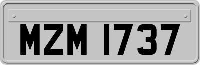 MZM1737