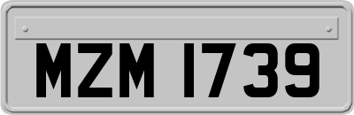 MZM1739