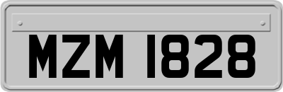MZM1828