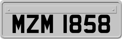 MZM1858