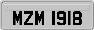 MZM1918