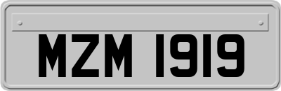 MZM1919
