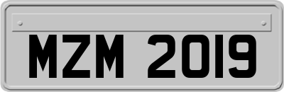 MZM2019