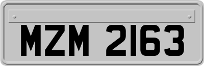 MZM2163