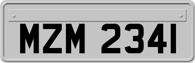 MZM2341