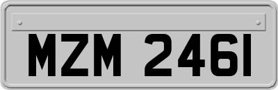 MZM2461