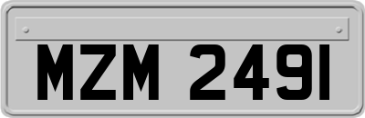 MZM2491