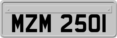 MZM2501