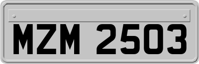 MZM2503