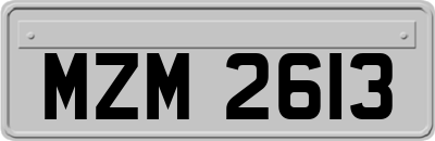 MZM2613