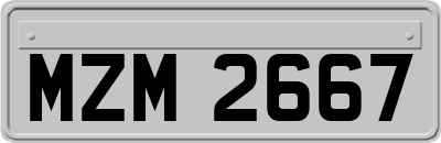 MZM2667