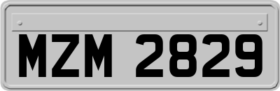 MZM2829