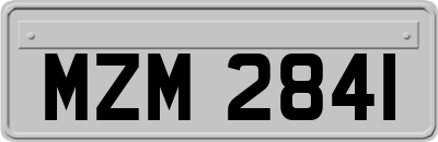 MZM2841