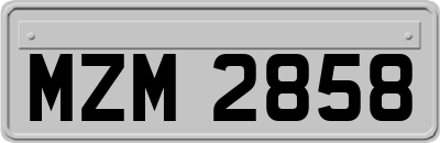 MZM2858