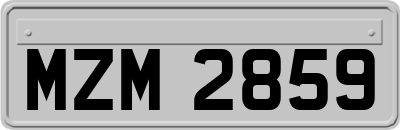 MZM2859