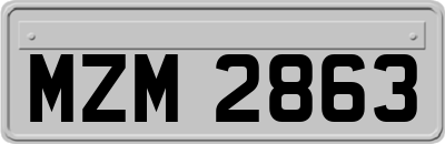 MZM2863