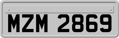 MZM2869
