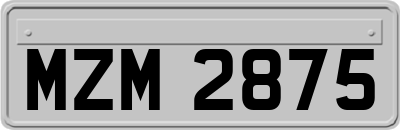 MZM2875