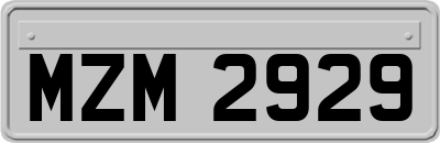 MZM2929