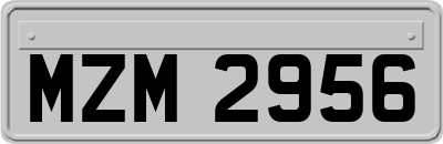 MZM2956
