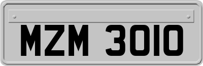 MZM3010
