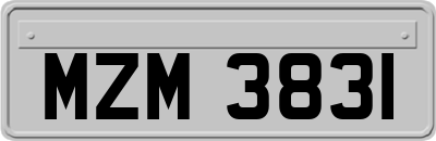MZM3831