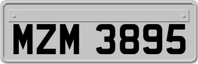 MZM3895