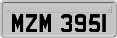 MZM3951