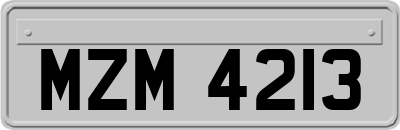 MZM4213