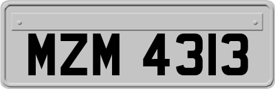 MZM4313