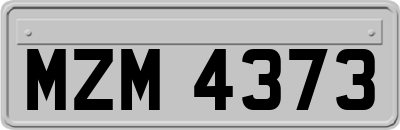 MZM4373