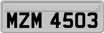 MZM4503