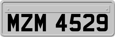 MZM4529