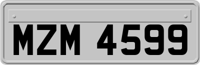 MZM4599