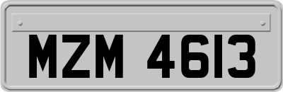 MZM4613