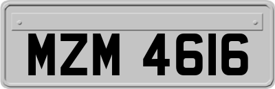 MZM4616