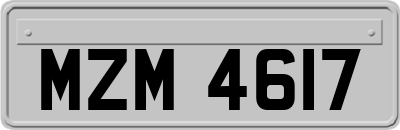 MZM4617