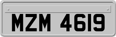 MZM4619