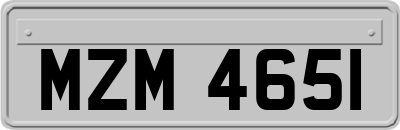 MZM4651
