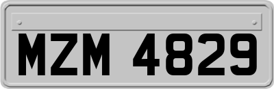 MZM4829