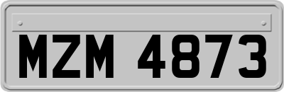 MZM4873