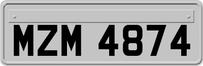 MZM4874