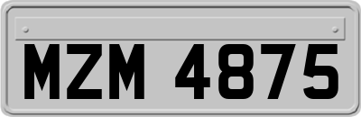 MZM4875
