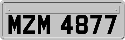 MZM4877