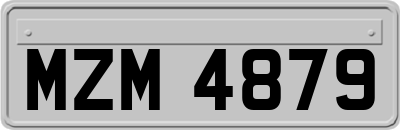 MZM4879