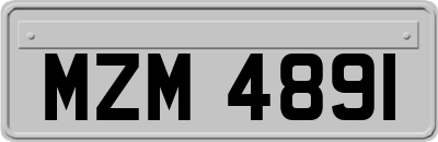 MZM4891