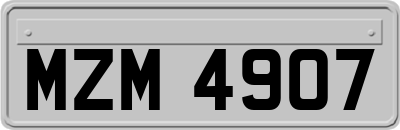 MZM4907